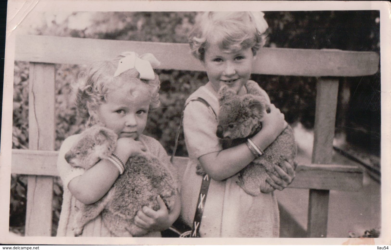 CARTE-PHOTO BRISBANE Fillettes Et Koalas 1952 - Brisbane