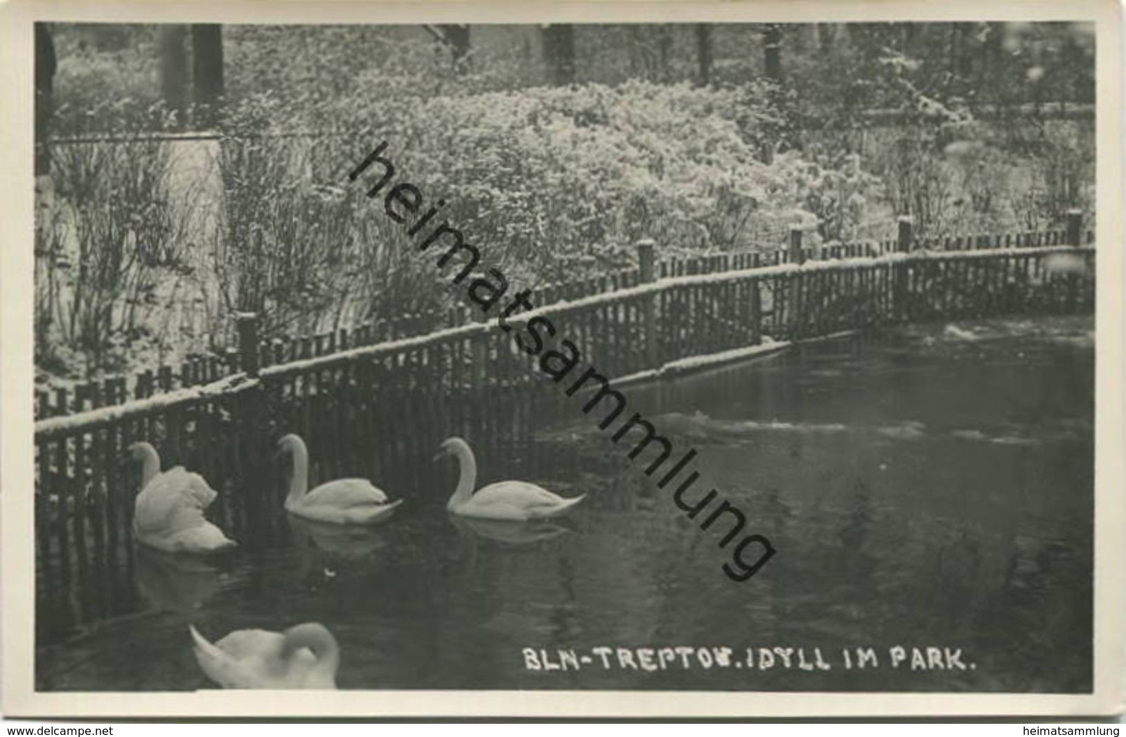 Berlin - Treptow - Idyll Im Park - Foto-AK 30er Jahre - Treptow