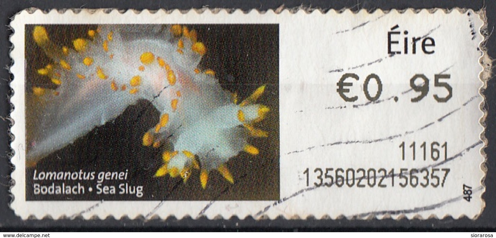 Irlanda 2010  Label Post And Go - Sea Slug - Lomanotus Genei - Used Autoadesivo Ireland Eire - Usati