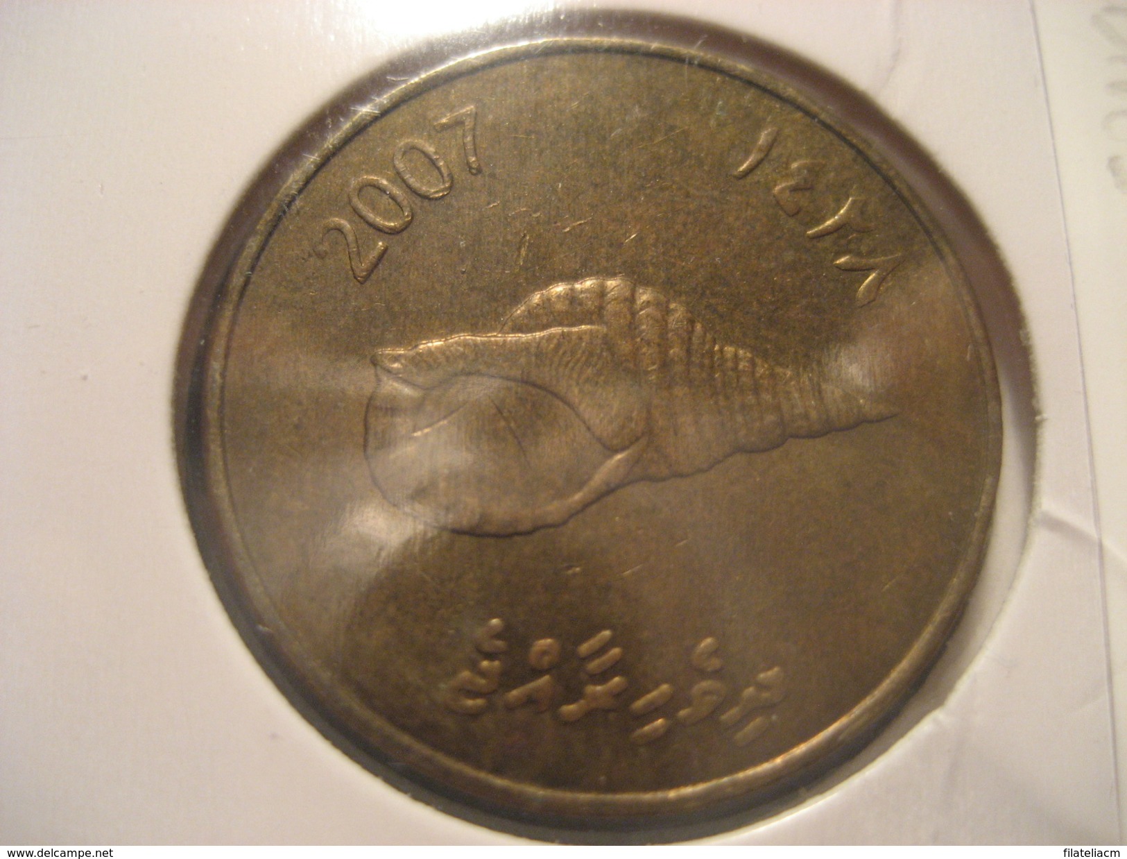 2 Rufiyaa 2007 Shell MALDIVES Coin - Maldives