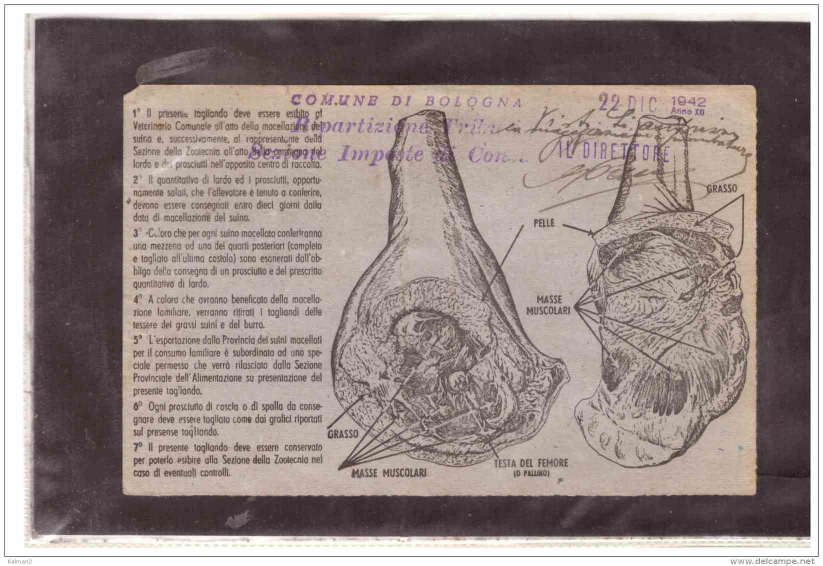TEM8757  -    AUTORIZZAZIONE PER MACELLAZIONE SUINI/COMUNE DI BOLOGNA  22.12.1942 - Seals Of Generality