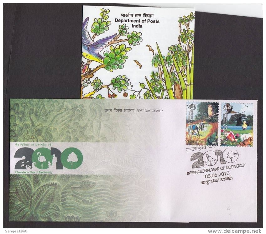 India  2010  Owls  Ducks  International Year Of Biodiversity  2v  KANPUR  First Day Cover  # 05523  D Inde Indien - Owls