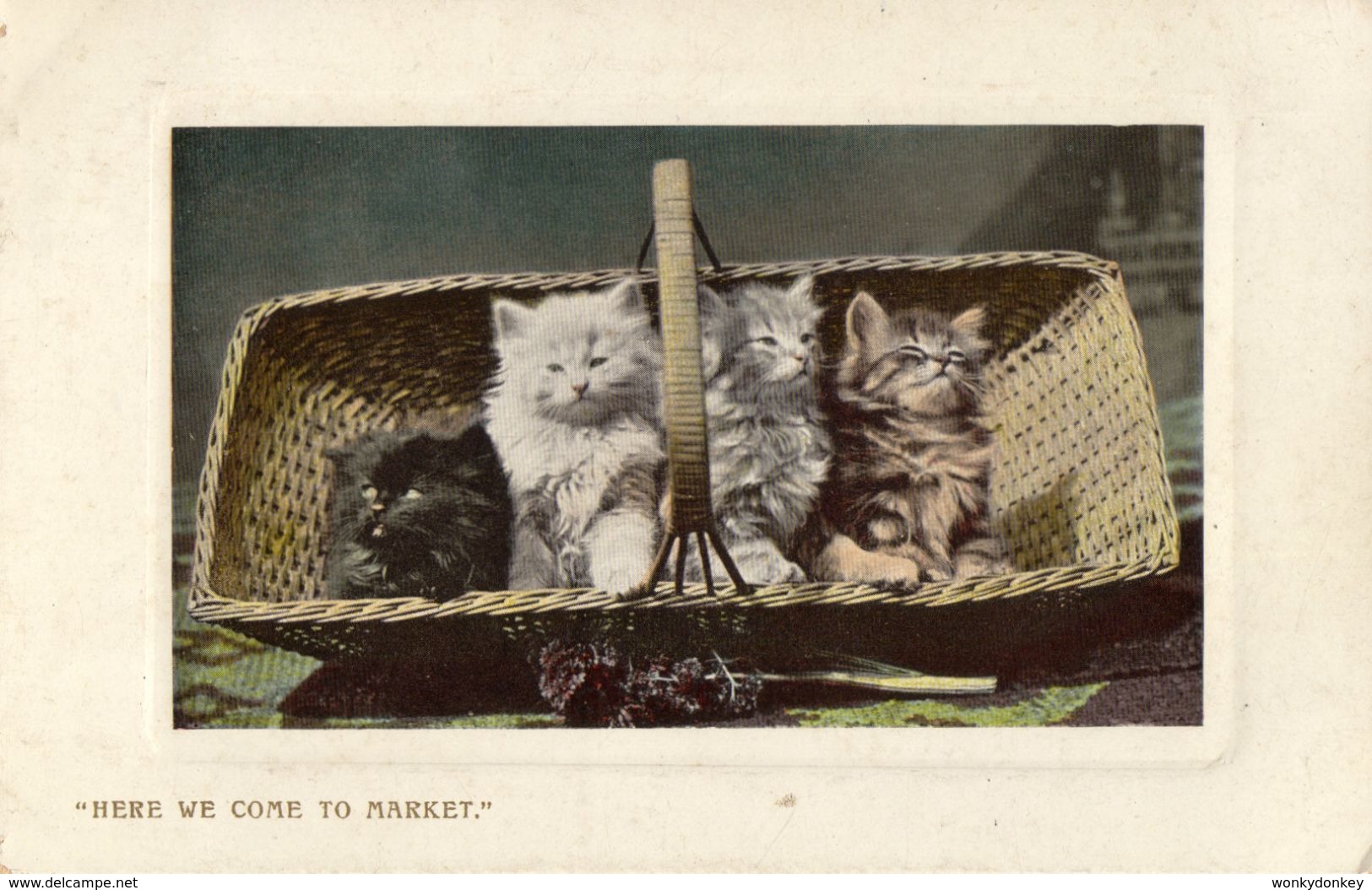 Cats  -   Four Kittens In A Wicker Basket.  Here We Come To Market.  1908.  Wildt & Kray. - Chats