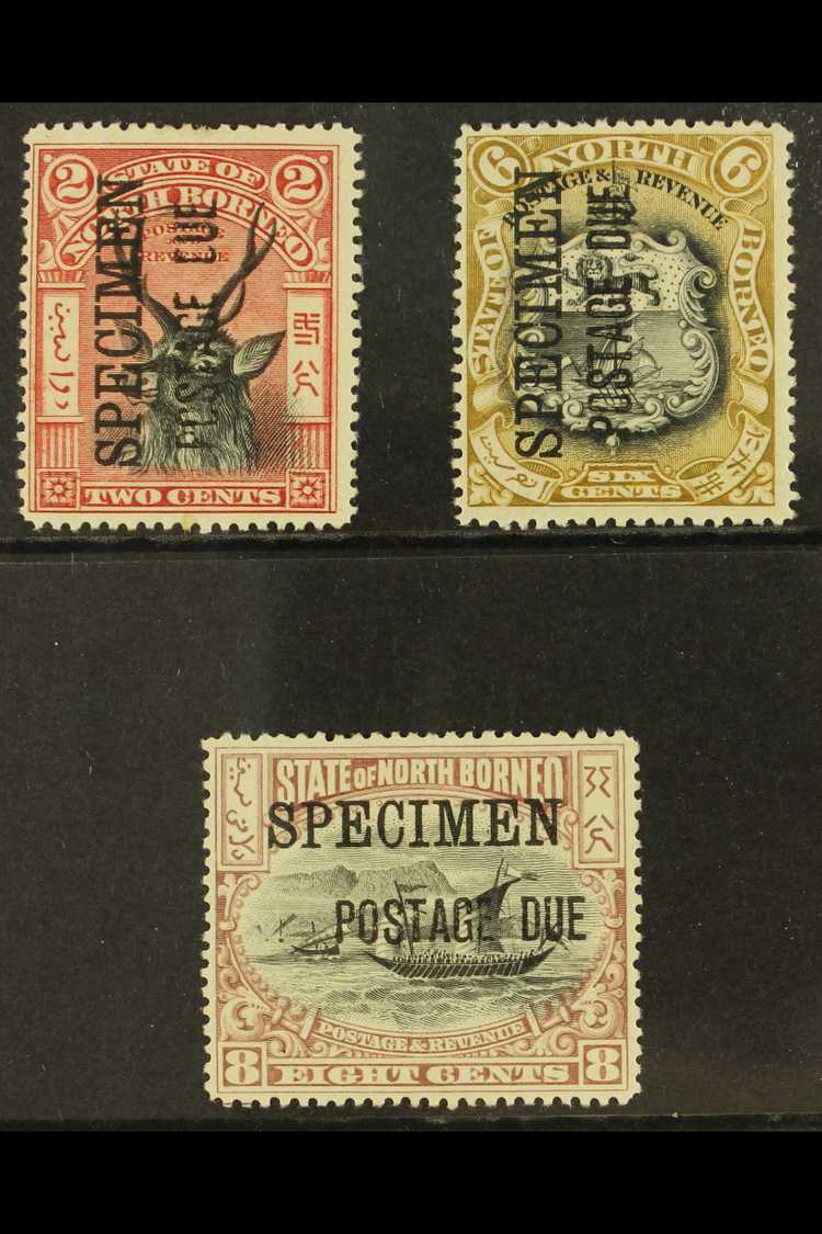 POSTAGE DUES 1897 - 99 2c, 6c And 8c Overpinted "Specimen", SG D12s, D18s, D19s, Very Fine And Fresh Mint. (3 Stamps) Fo - Borneo Del Nord (...-1963)