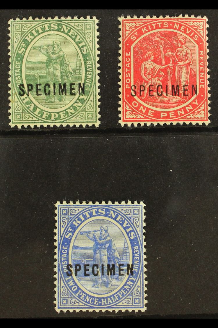 1905 ½d Green, 1d Carmine And 2½d Bright Blue, Ovptd "Specimen", SG 12s, 14s, 17s, Very Fine Mint. (3 Stamps) For More I - St.Kitts Und Nevis ( 1983-...)