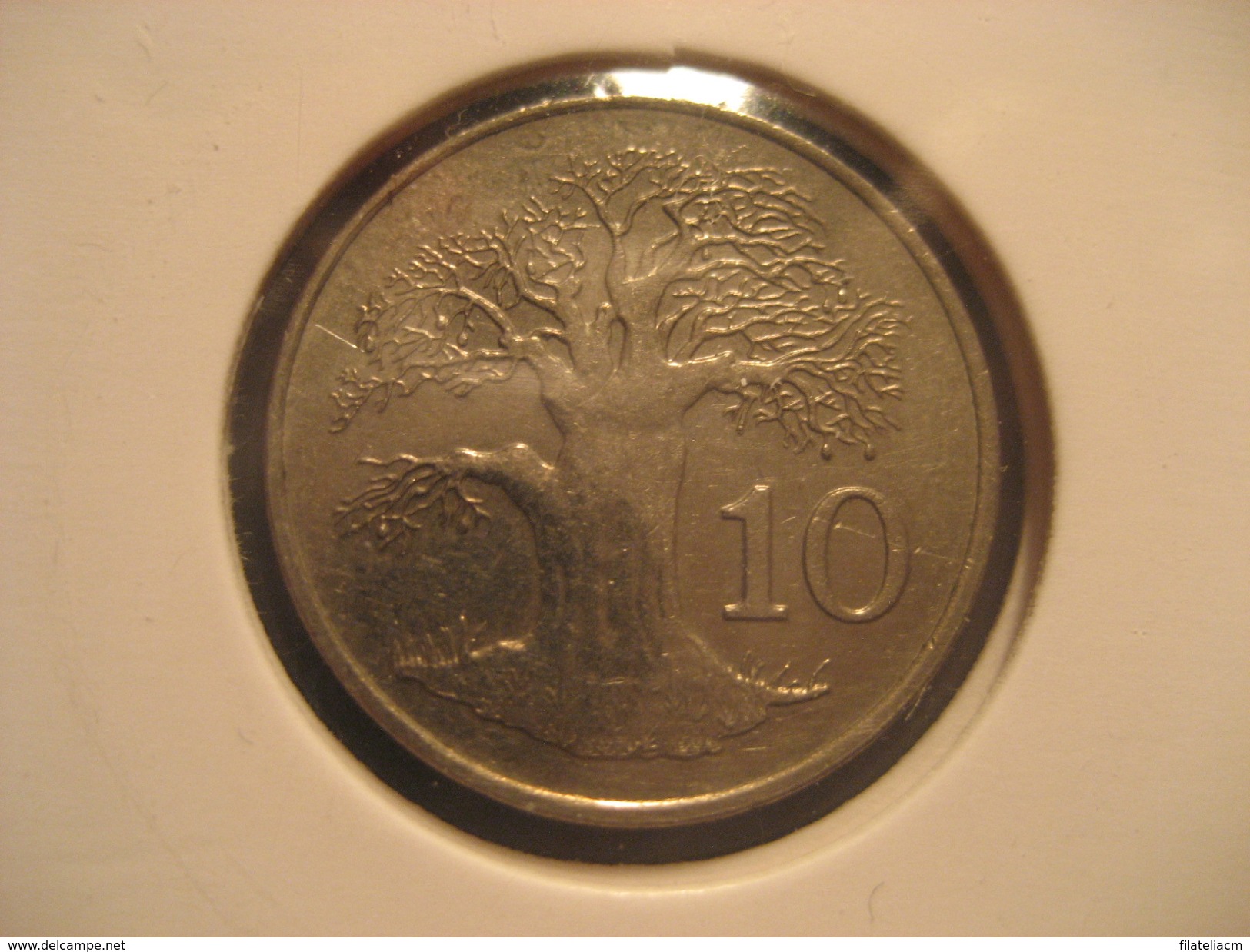 10 1991 ZIMBABWE Coin - Simbabwe