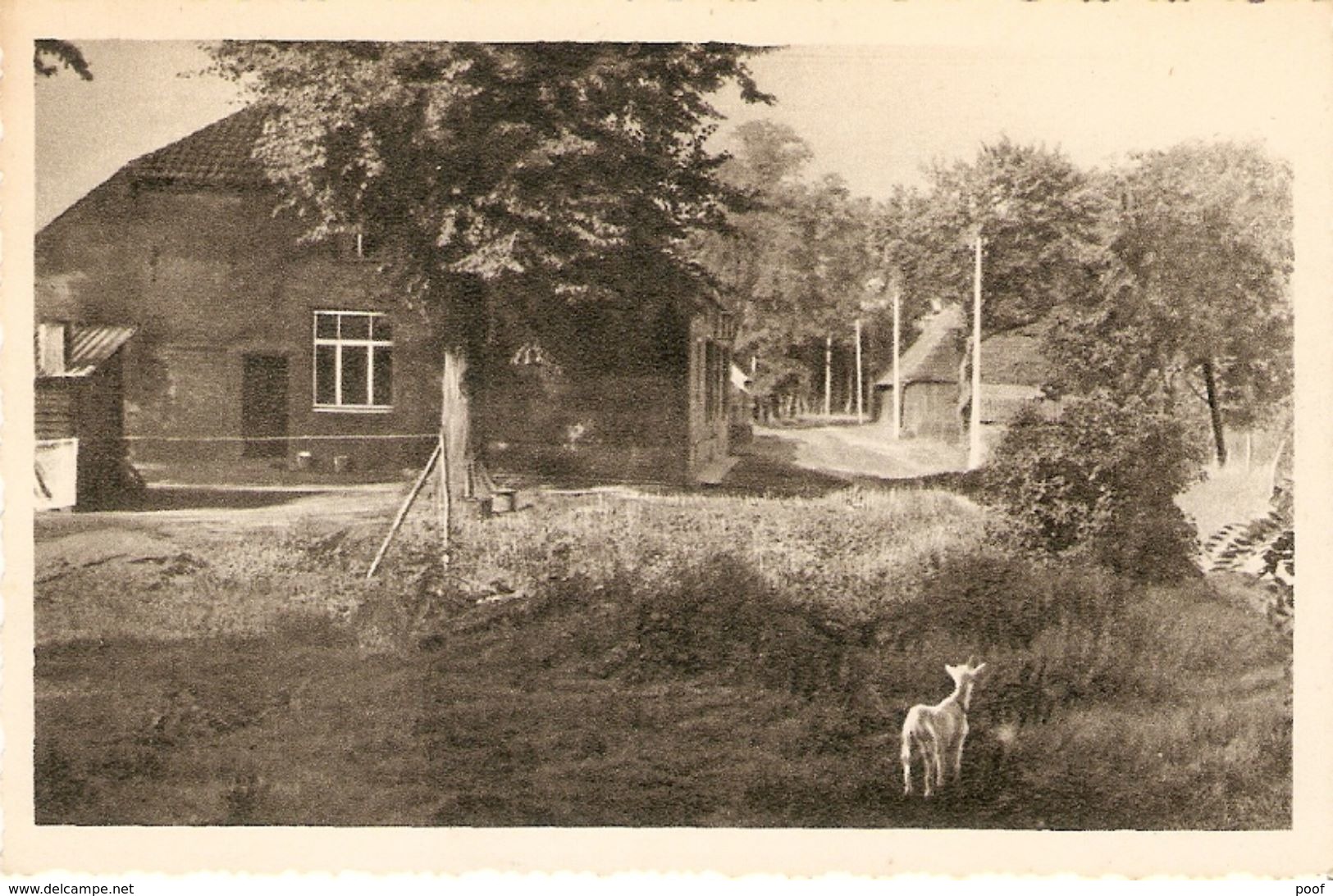 Postel : Rustig Hoekje Met Oude Boerderij ( Hoeve) - Retie