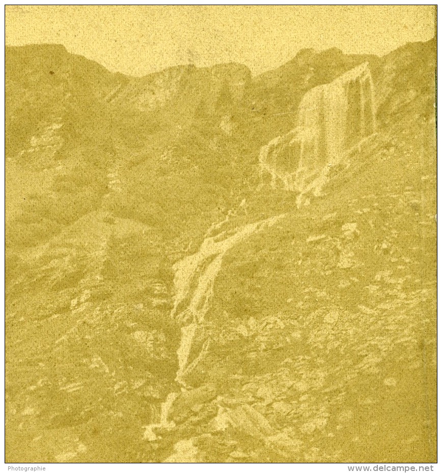 Suisse Meringen Chute D'Alpbachfall Cascade Ancienne Stereo Photo Braun 1860 - Old (before 1900)