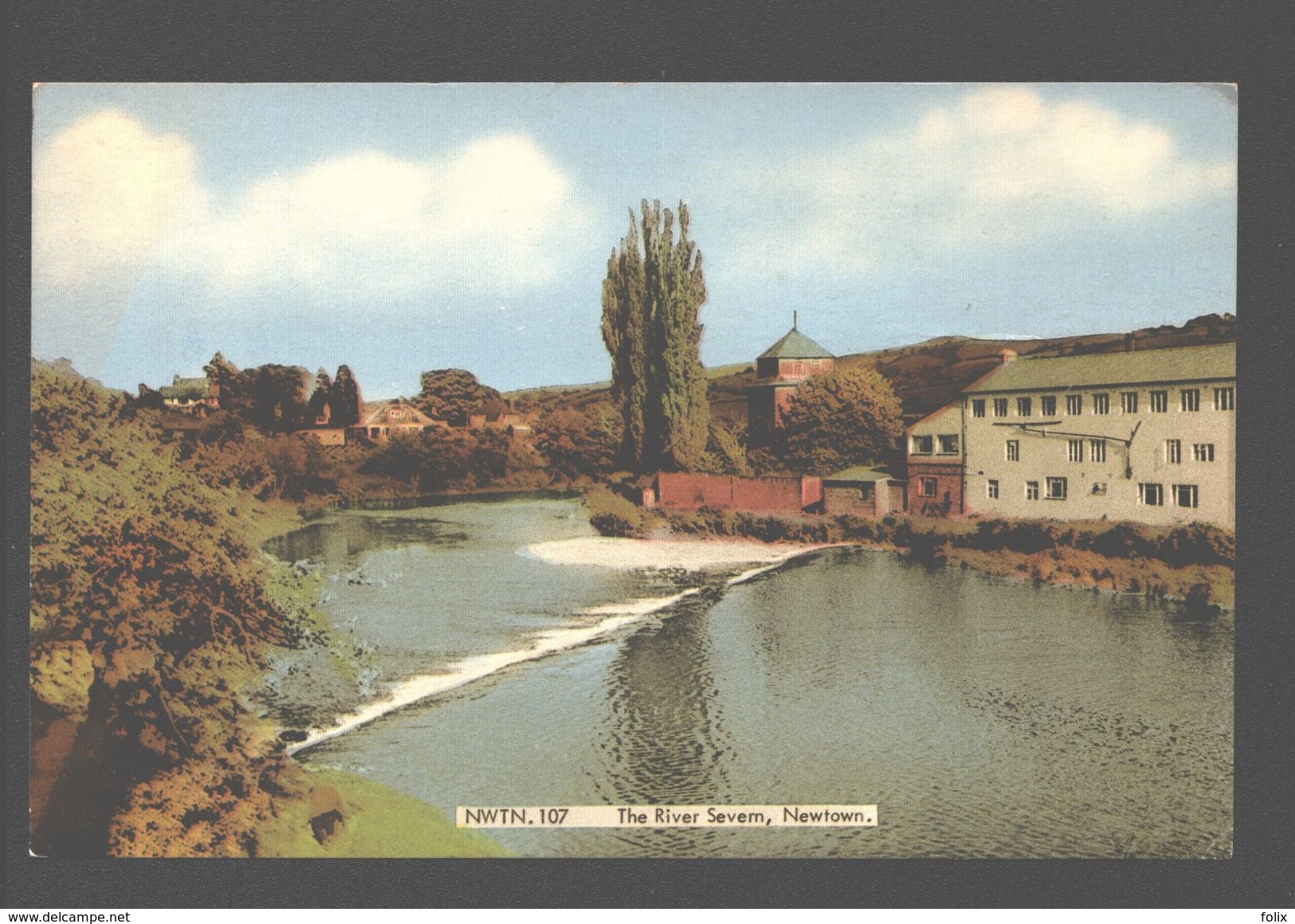 Newtown - The River Severn - Montgomeryshire