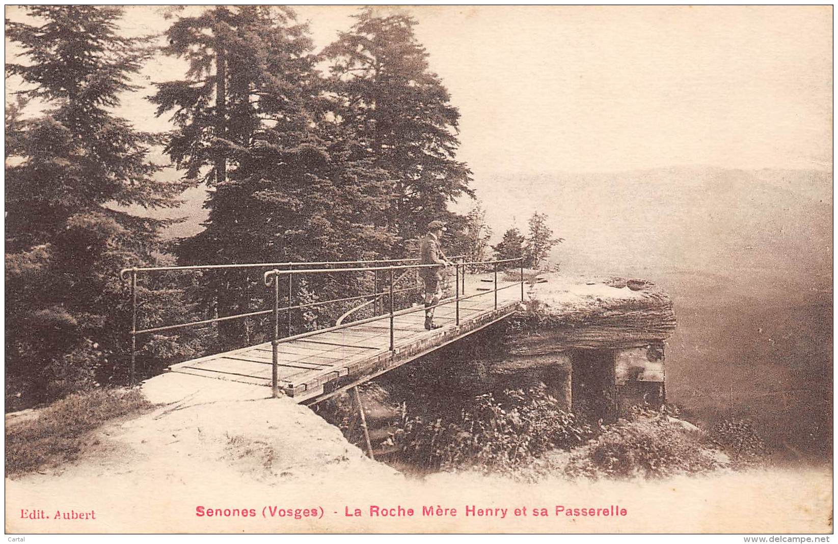 88 - SENONES - La Roche Mère Henry Et Sa Passerelle - Senones