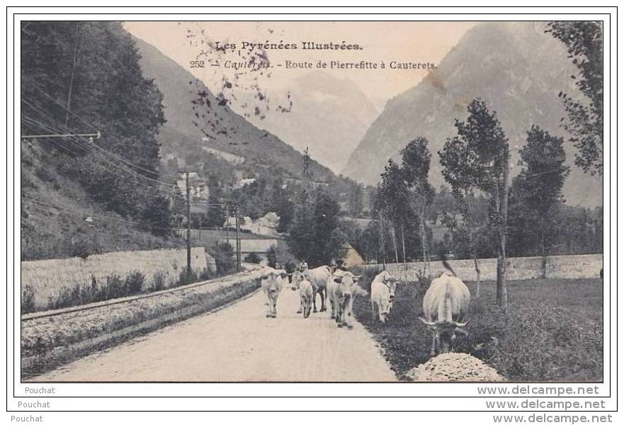 65) Cauterets.- Route De Pierrefitte à Cauterets - (animée - Vaches - Bestiaux) - Cauterets