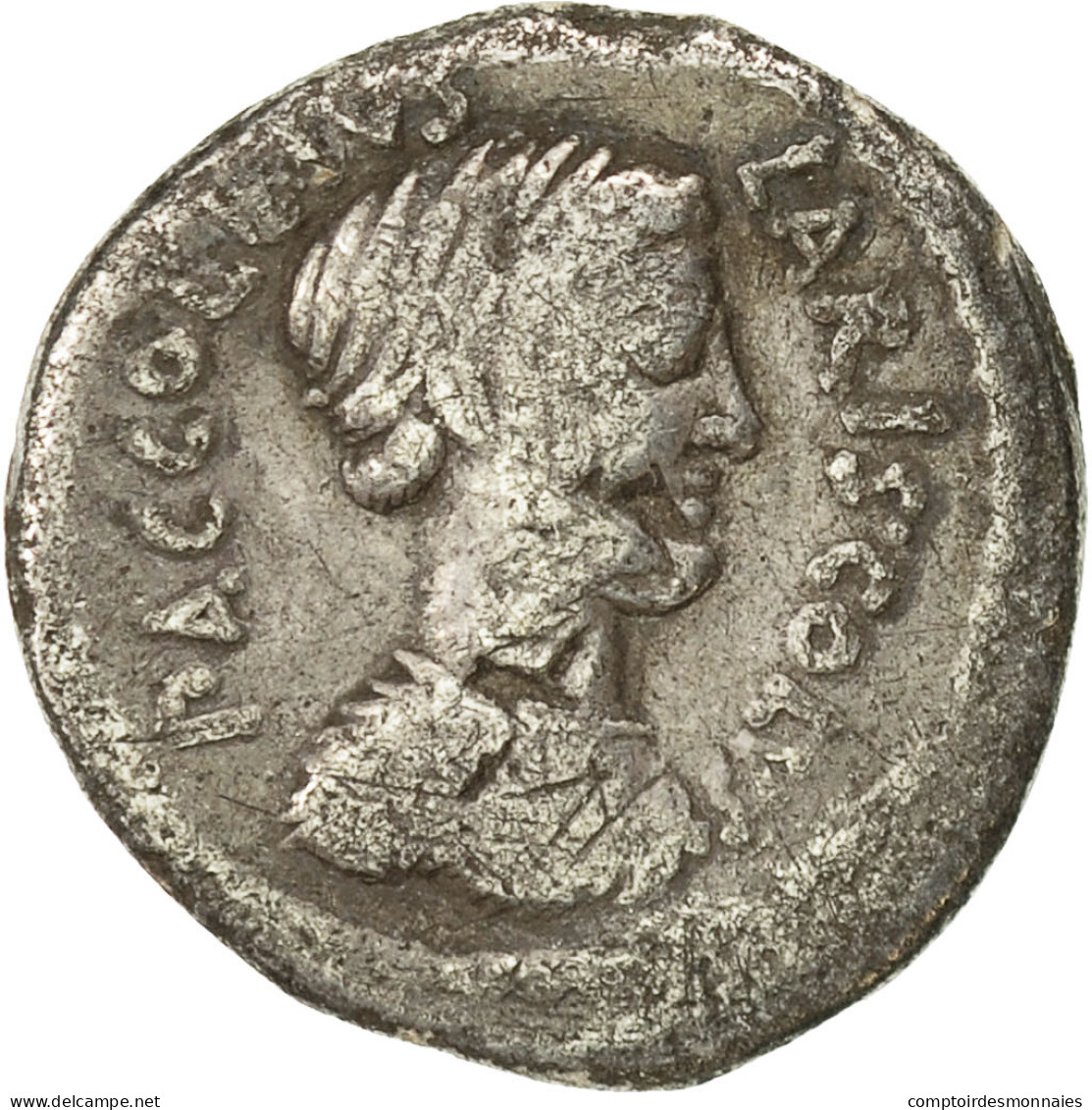 Monnaie, Accoleia, Denier, 43 BC, Rome, TTB, Argent, Crawford:486/1 - République (-280 à -27)