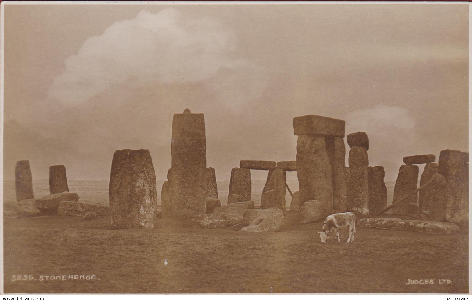 Very Old RARE Photo Card Stonehenge With Cow Judges Ltd Hastings 5236 Amesbury Wiltshire (In Very Good Condition) - Stonehenge