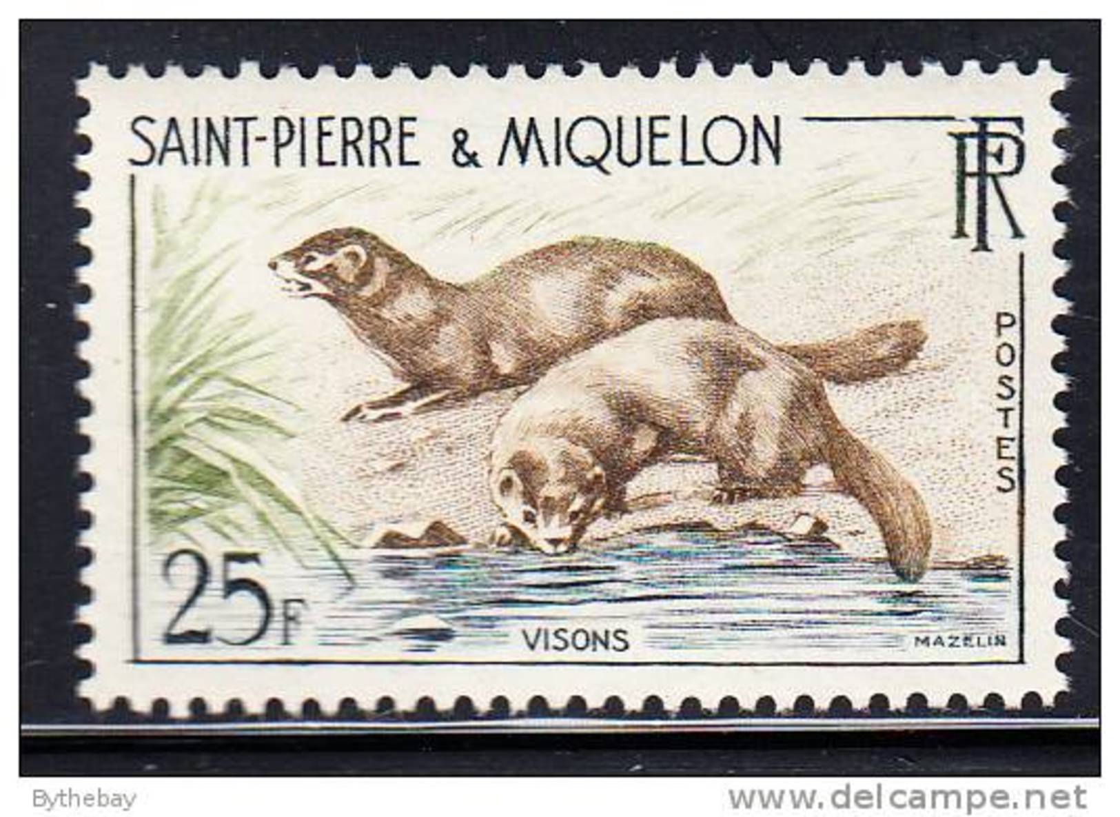 St Pierre Et Miquelon 1959 MNH Sc 359 25fr Mink - Neufs