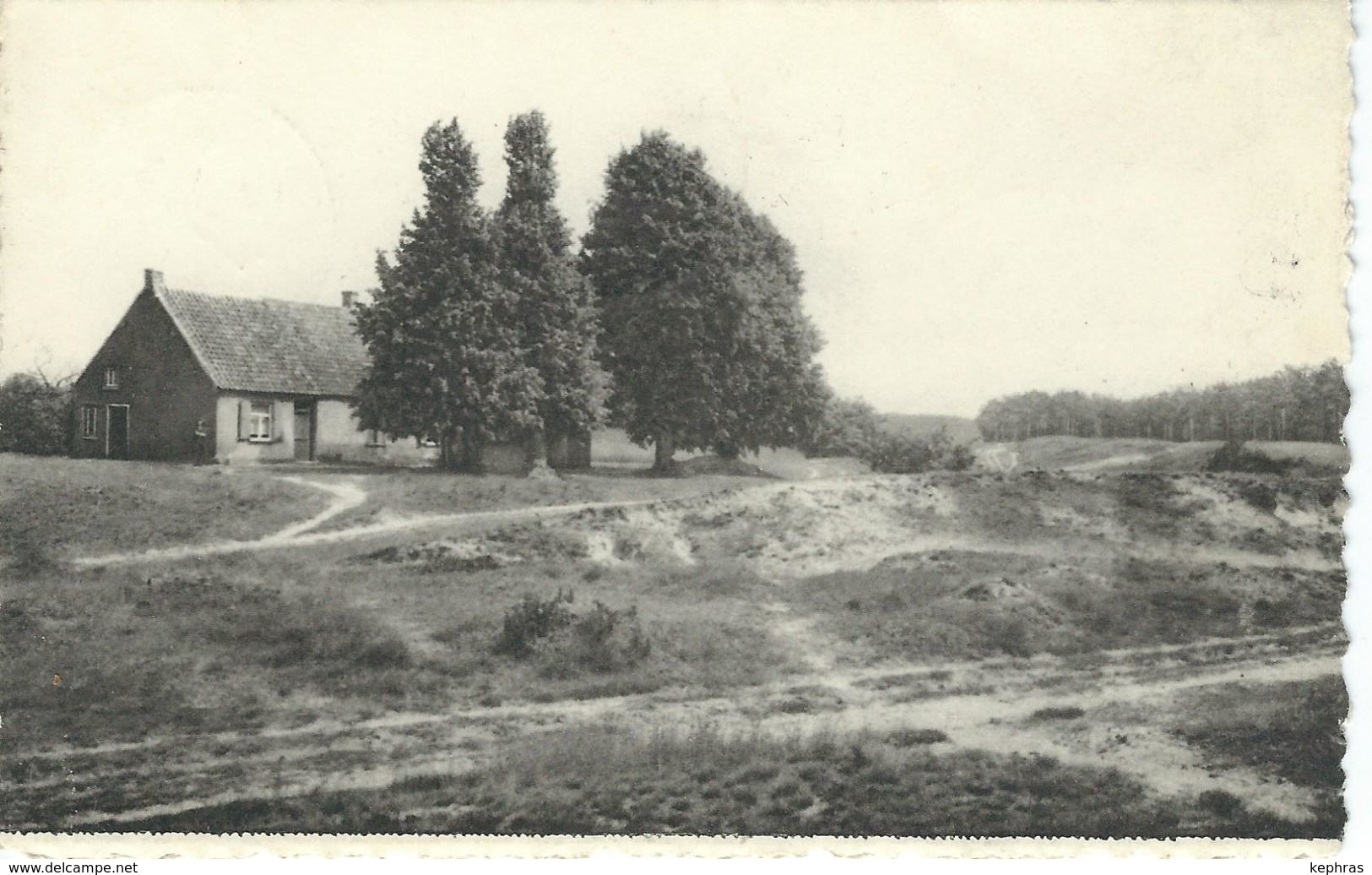 LOMMEL : Zicht Op Kattenbos - Cachet De La Poste 1957 - Lommel