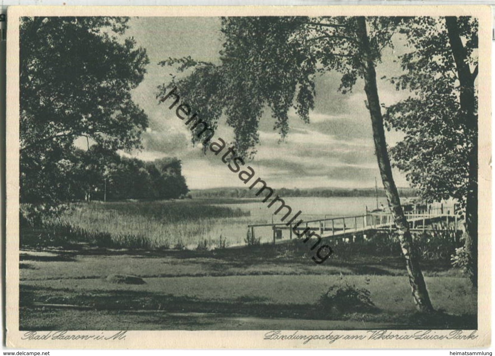 Bad Saarow - Scharmützelsee - Foto-Ansichtskarte - Verlag Georg Walther Fürstenwalde - Bad Saarow