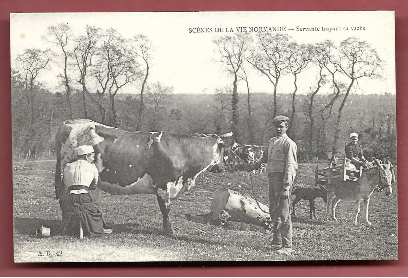 Scène De La Vie Normande - Servante Trayant Sa Vache - Andere & Zonder Classificatie