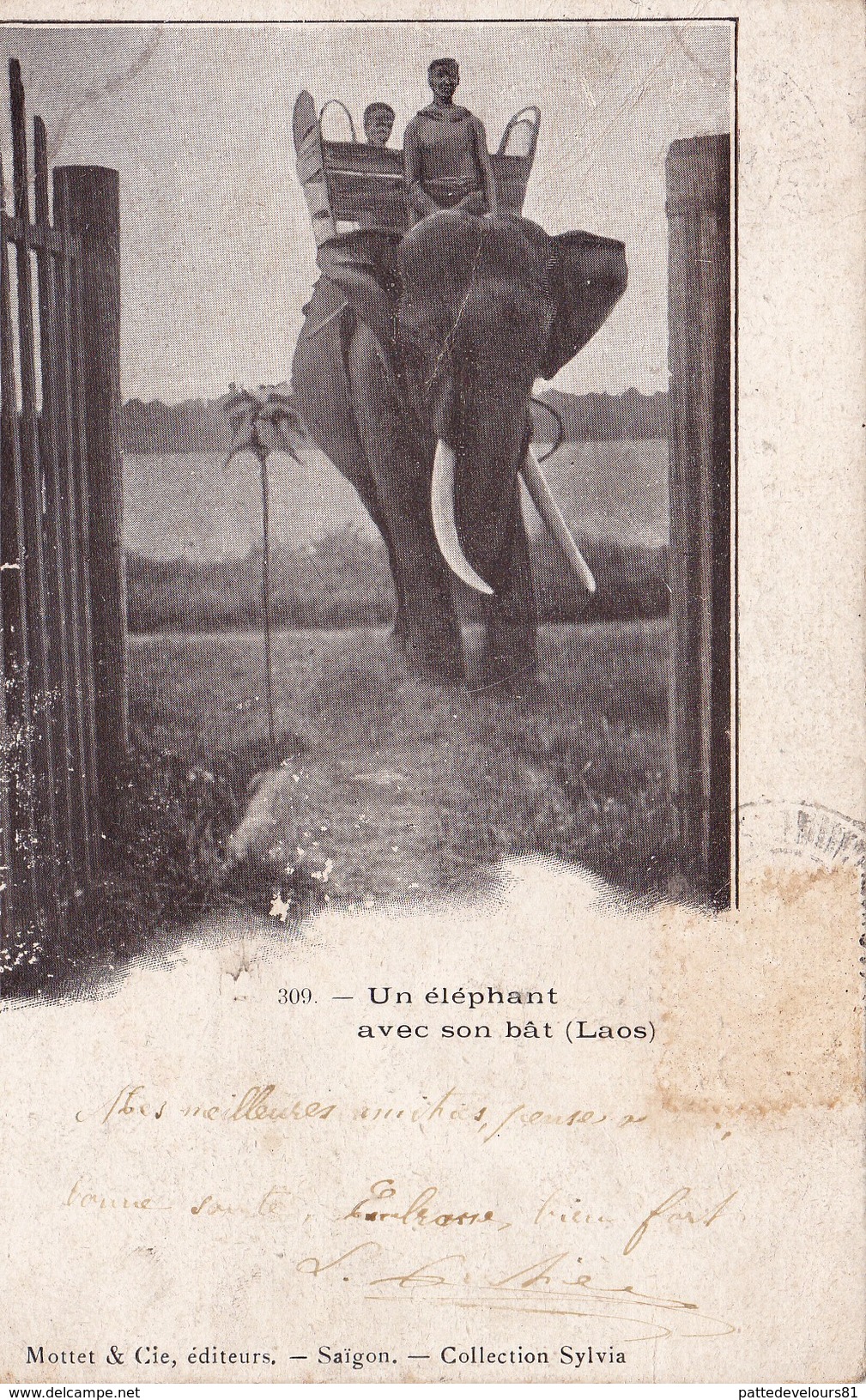 LAOS Un Eléphant Avec Son Bât - Laos