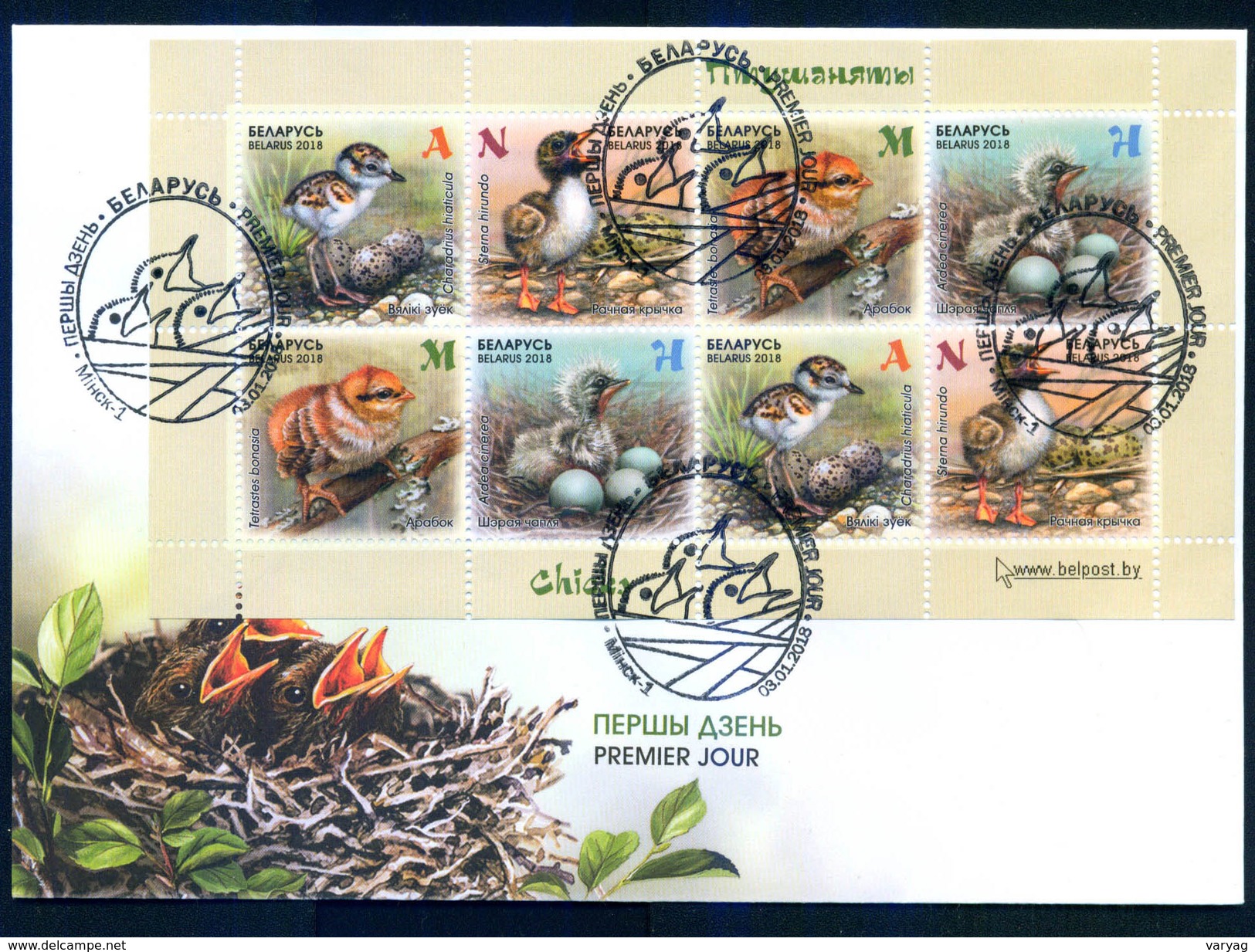 TH_ Belarus 2018 Birds Chicks Bird Fauna FDC Bl - Otros & Sin Clasificación