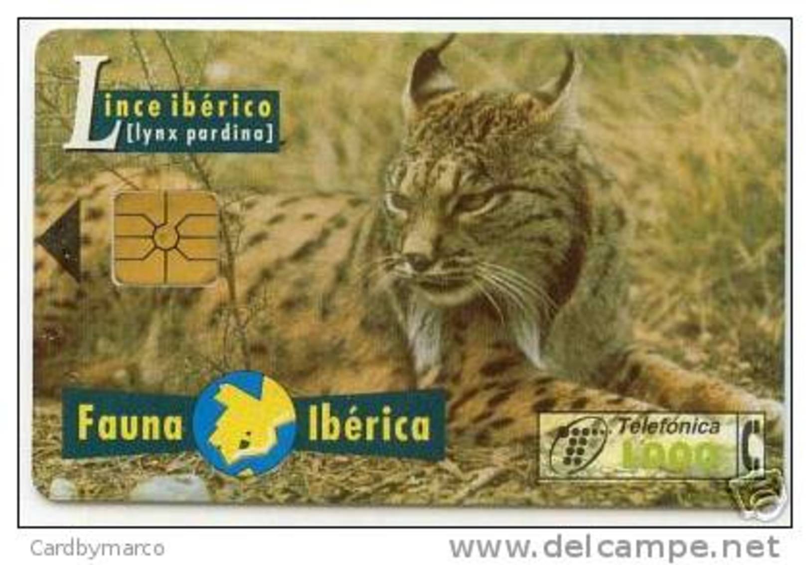 *SPAGNA - FAUNA IBERICA: LINCE IBERICO* - Scheda Usata - Emissions Basiques