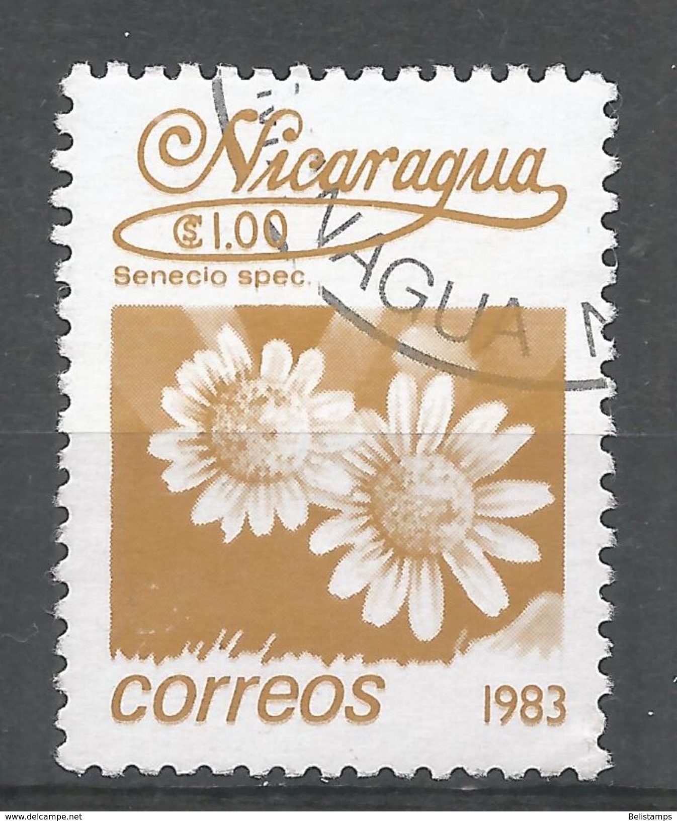 Nicaragua 1983. Scott #1218 (U) Flowers, Senecio Spec - Nicaragua