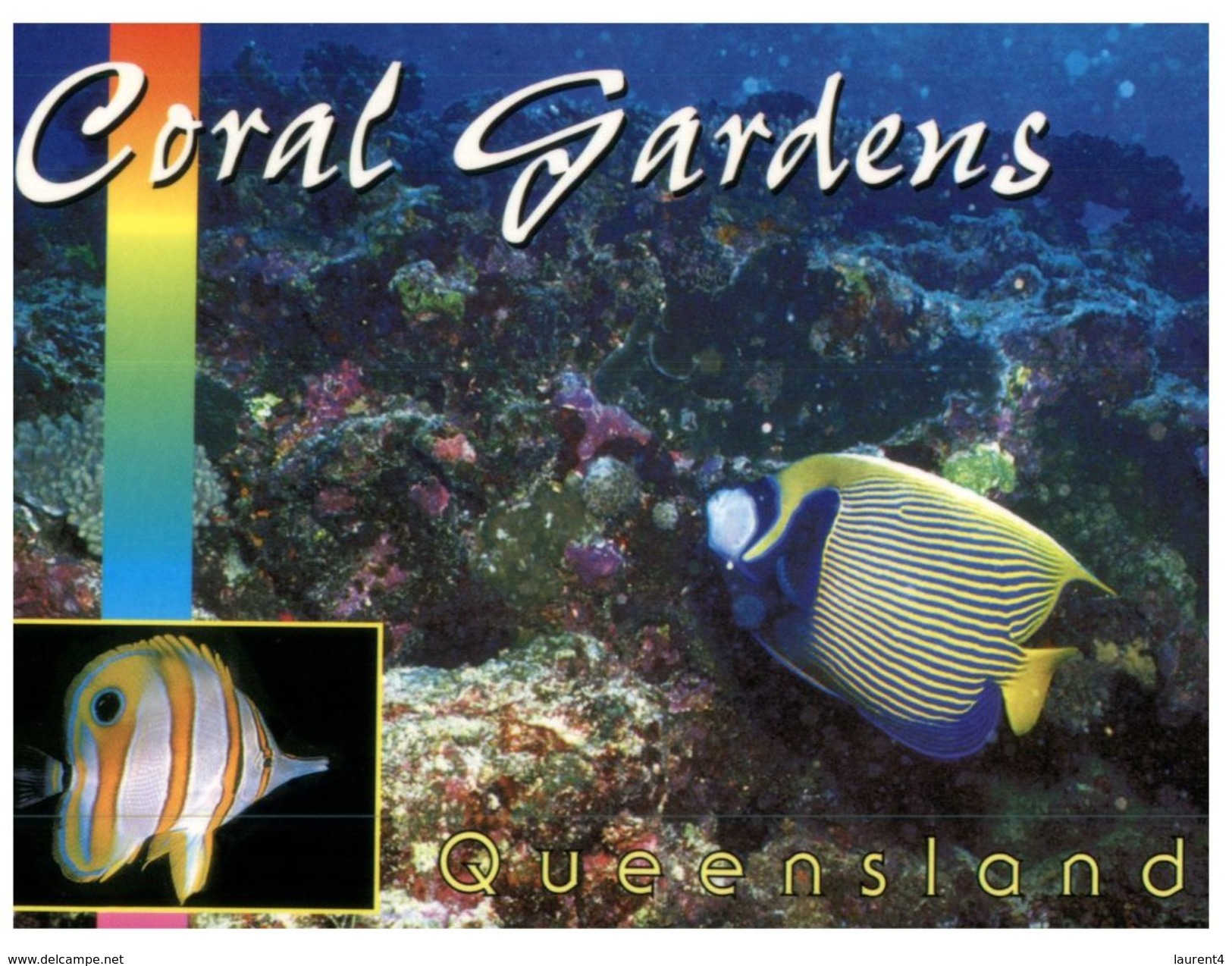 (6666) Australia - QLD - Coral Gardens - Great Barrier Reef