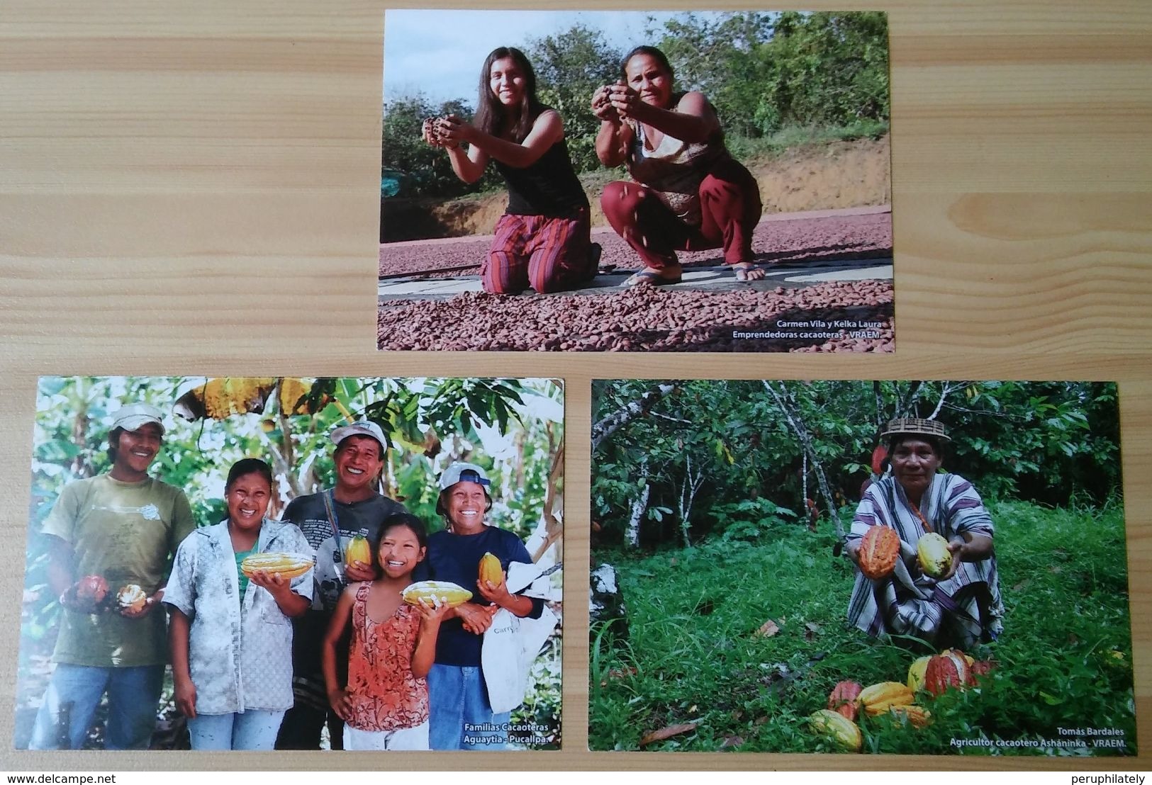 PERU COCOA POSTCARDS - Cultivation