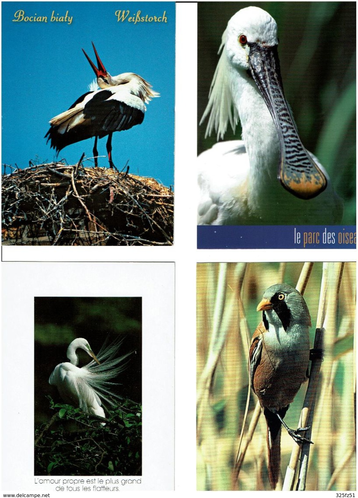 OISEAUX /  Lot De 90 Cartes Postales Modernes Neuves - 5 - 99 Postcards