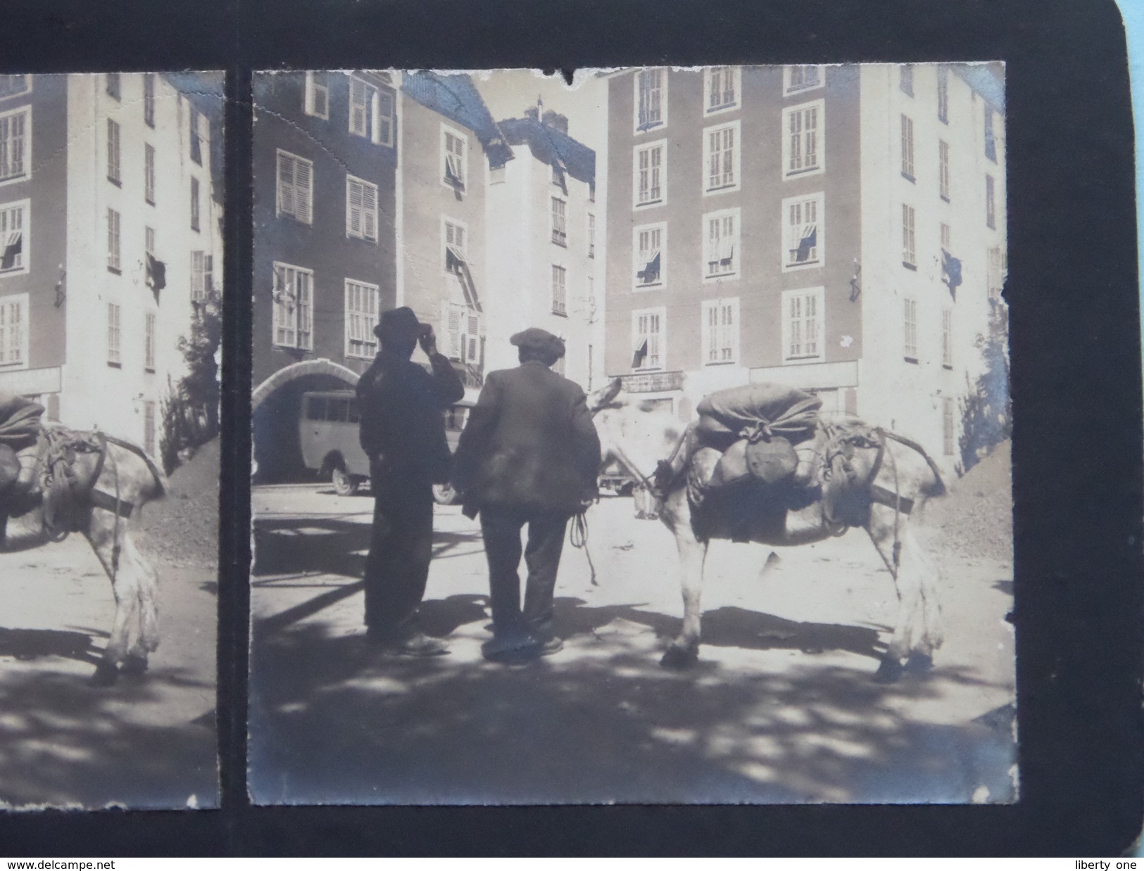 EZEL ( âne & Automobile ) ESEL / DONKEY ( Stereo Photo V. HASSREIDTER Frankfurt 1929 / Voir Photo Pour Detail ) ! - Photos Stéréoscopiques