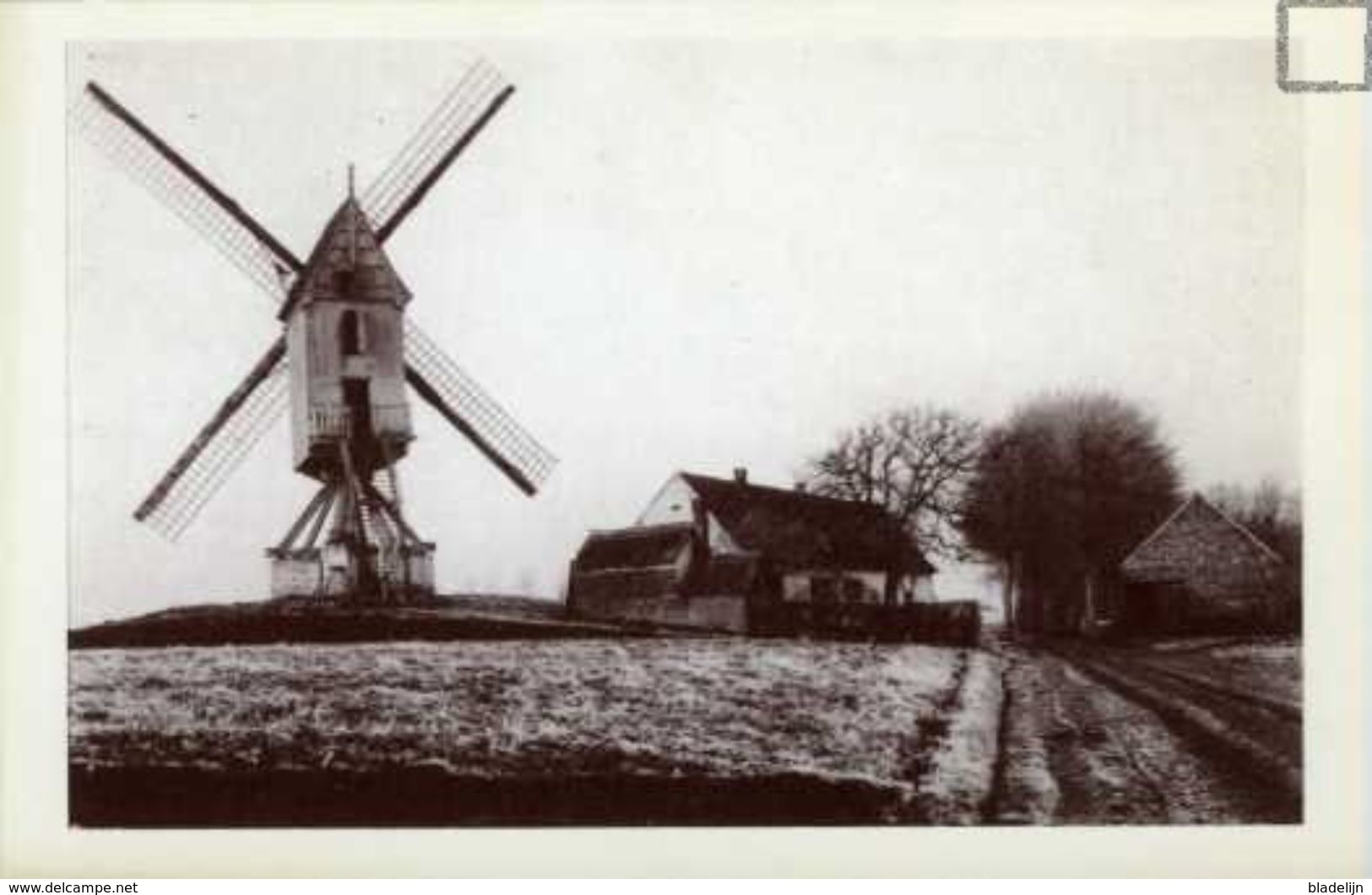 ZEMST (Vlaams-Brabant) - Molen/moulin - Oudere Prentkaart (1974) Van De Gewezen 's Gravenmolen In De Hoogstraat - Zemst