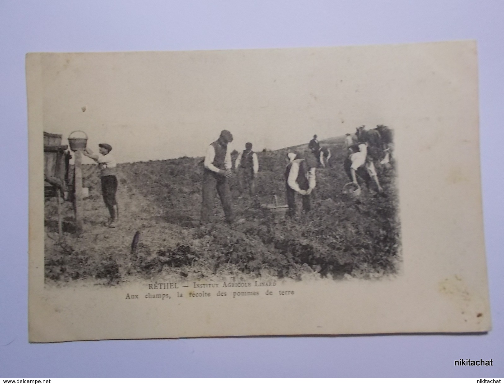 RETHEL-Institut Agricole Linard-Aux Champs,la Recolte Des Pommes De Terre - Rethel