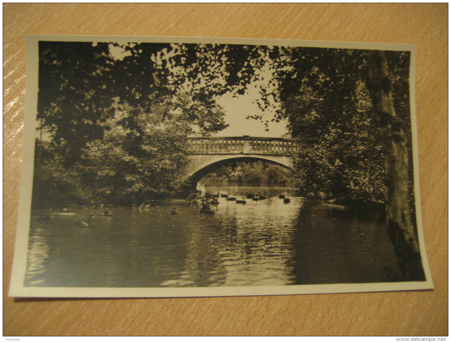 HAMBURG Restaurante Bridge Hagenbecks Tierpark Stellingen Zoo Post Card Germany - Stellingen