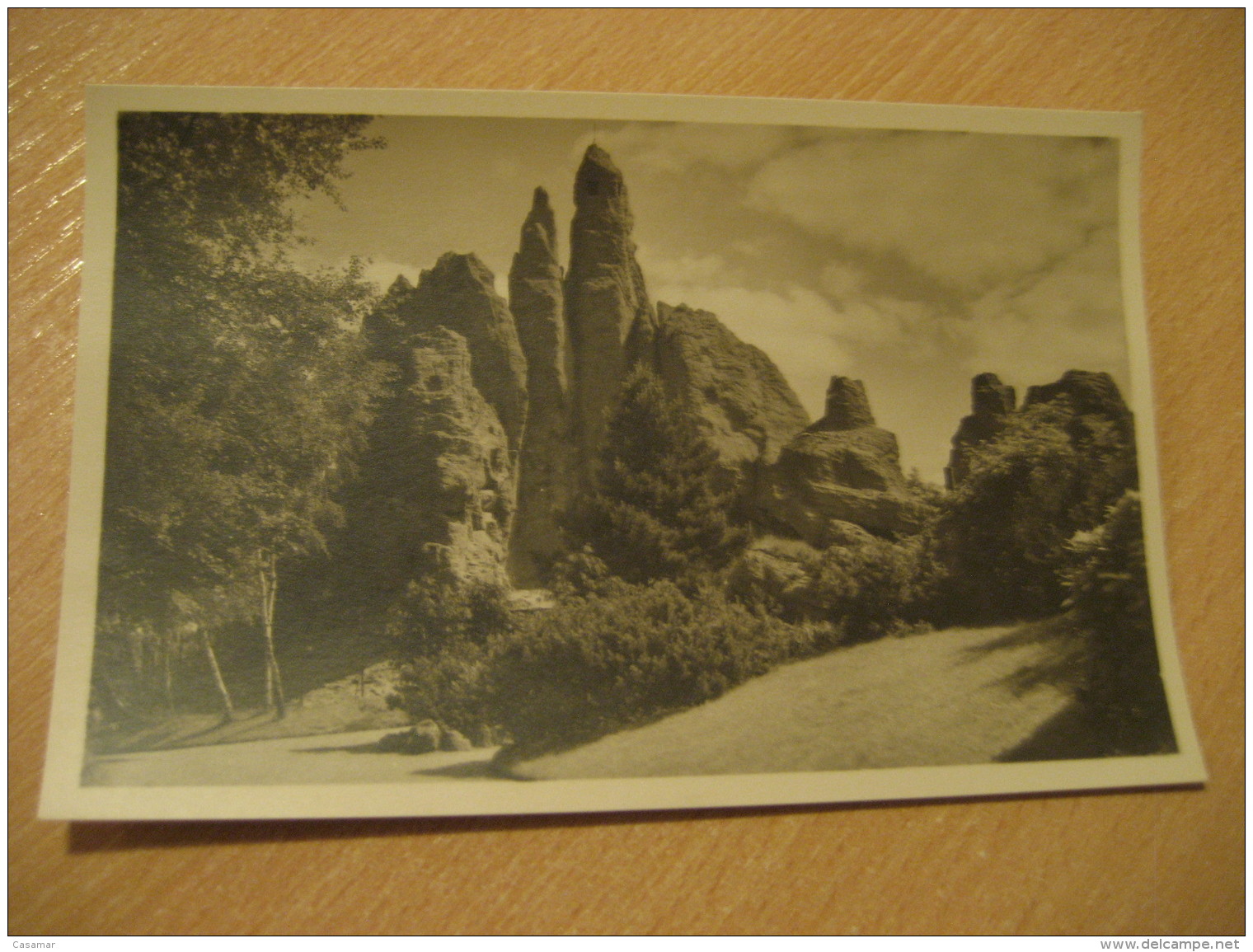 HAMBURG Hochgebirgs Panorama Hagenbecks Tierpark Stellingen Zoo Post Card Germany - Stellingen