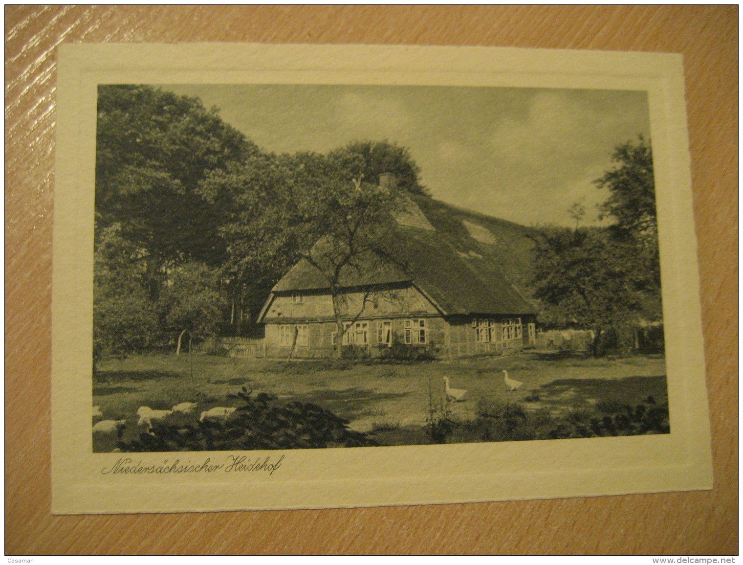 HEIDE Niedersachsischer Heidehof Post Card Dithmarschen Schleswig-Holstein Germany - Heide