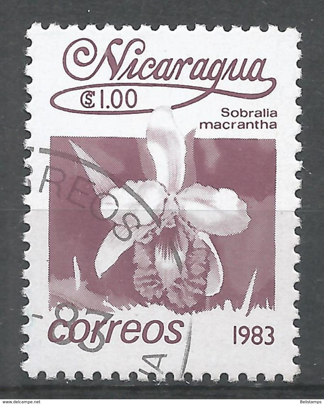 Nicaragua 1983. Scott #1219 (U) Flowers, Sobralia Macrantha - Nicaragua