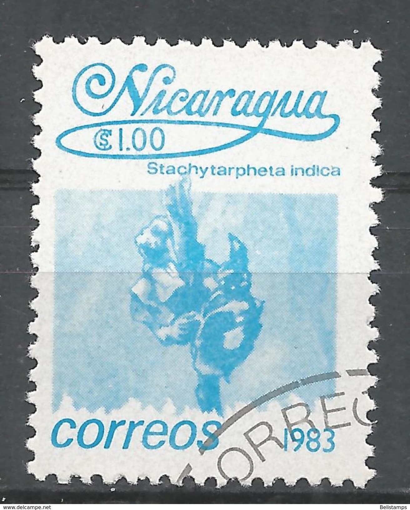 Nicaragua 1983. Scott #1220 (U) Flowers, Stachytarpheta Indica - Nicaragua