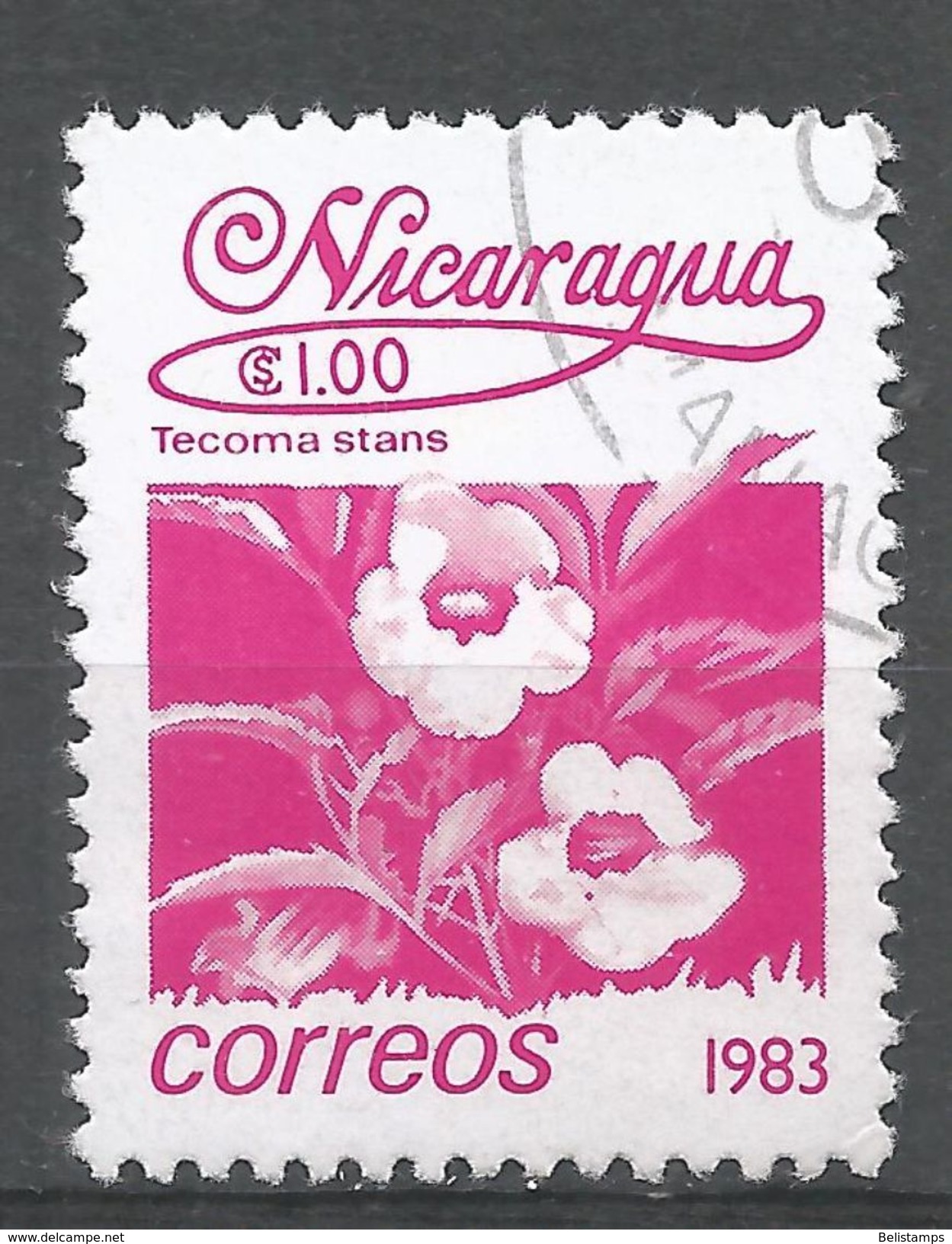 Nicaragua 1983. Scott #1223 (U) Flowers, Tecoma Stans - Nicaragua