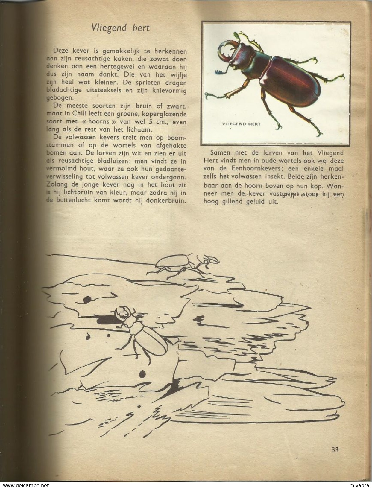 ENCYCLOPEDIE IN ZEGELS N° 10 - DE INSEKTEN ( VLINDERS BUTTERFLIES PAPILLON - KEVERS COLEOPTERA BEETLES ) 1957 - Encyclopédies