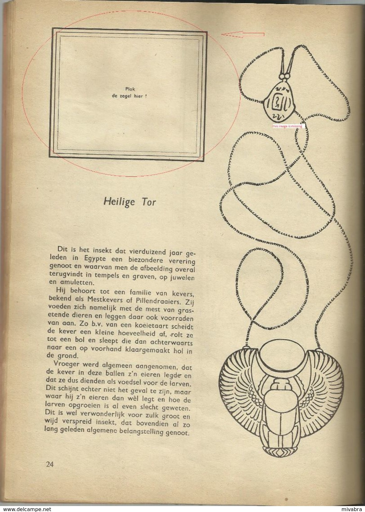 ENCYCLOPEDIE IN ZEGELS N° 10 - DE INSEKTEN ( VLINDERS BUTTERFLIES PAPILLON - KEVERS COLEOPTERA BEETLES ) 1957 - Encyclopédies