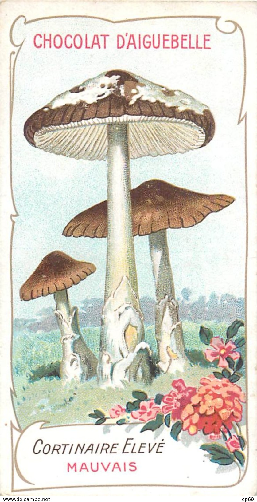 Chromo Chocolat D'Aiguebelle Champignons Cortinaire Elevé Mauvais Texte Au Dos - Aiguebelle