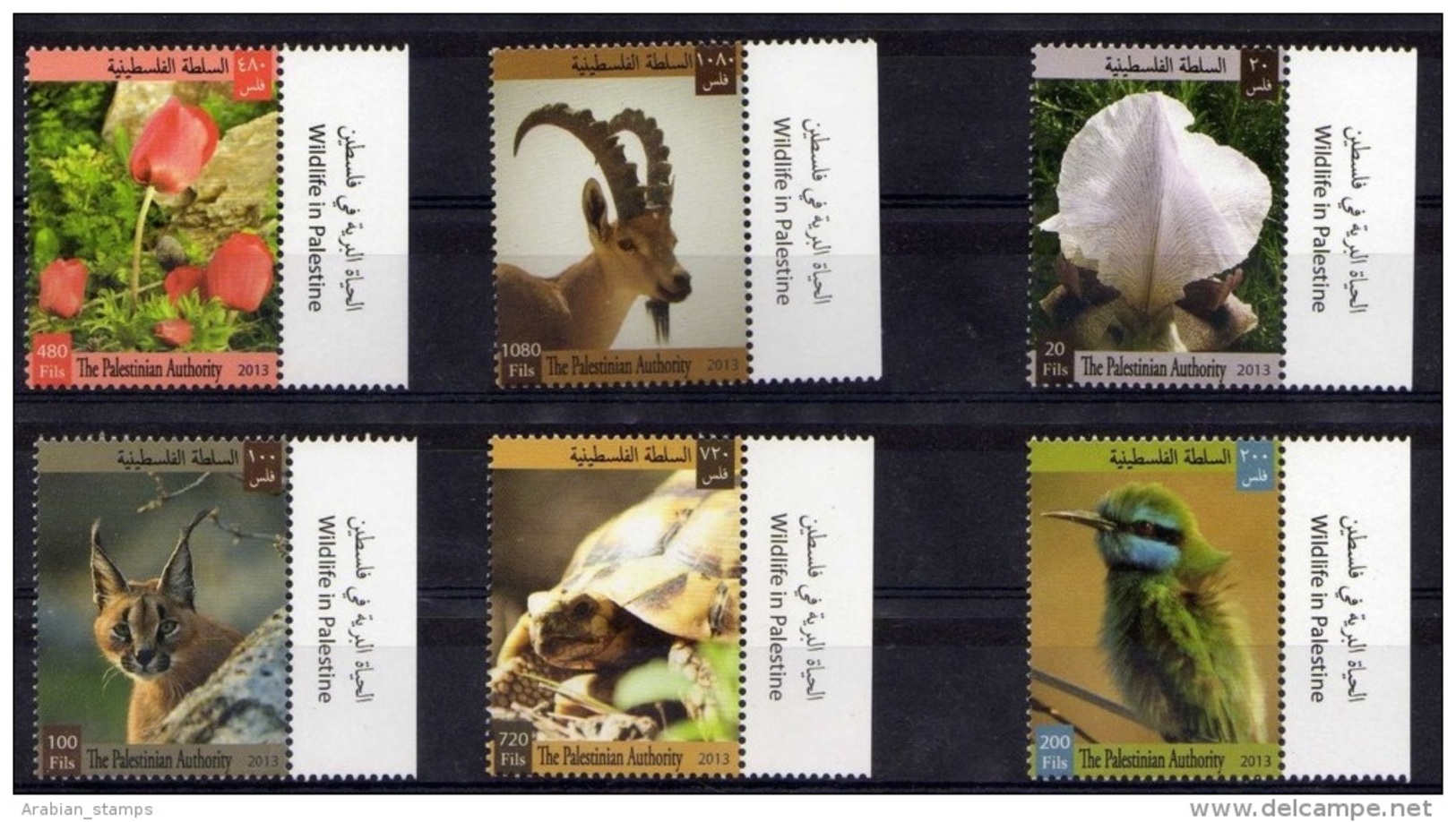 PALESTINE PALESTINIAN AUTHORITY MNH 2013 WILD LIFE WWF BIRDS GAZELLES CAT FLOWER TURTLE WILD CAT TIGER - Palestine