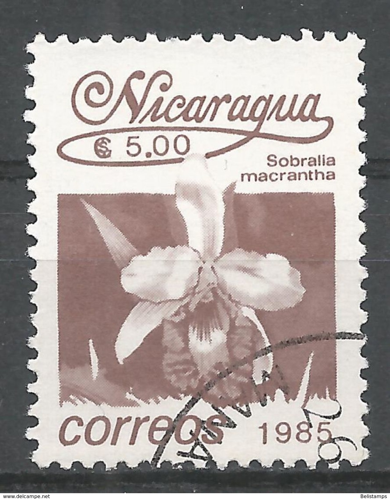 Nicaragua 1986. Scott #1525 (U) Flowers, Sobralla Macrentha - Nicaragua