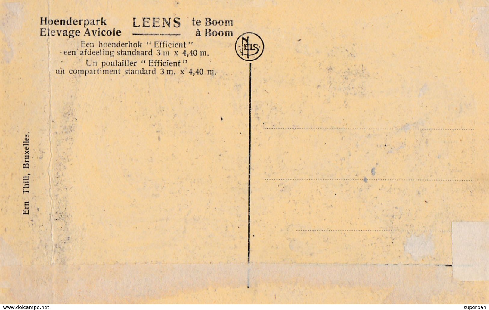 BOOM : HOENDERPARK LEENS : HOENDERHOK 'EFFICIENT'/ ELEVAGE AVICOLE LEENS : POULAILLER 'EFFICIENT' ~ 1910 - '15 (ab316) - Boom