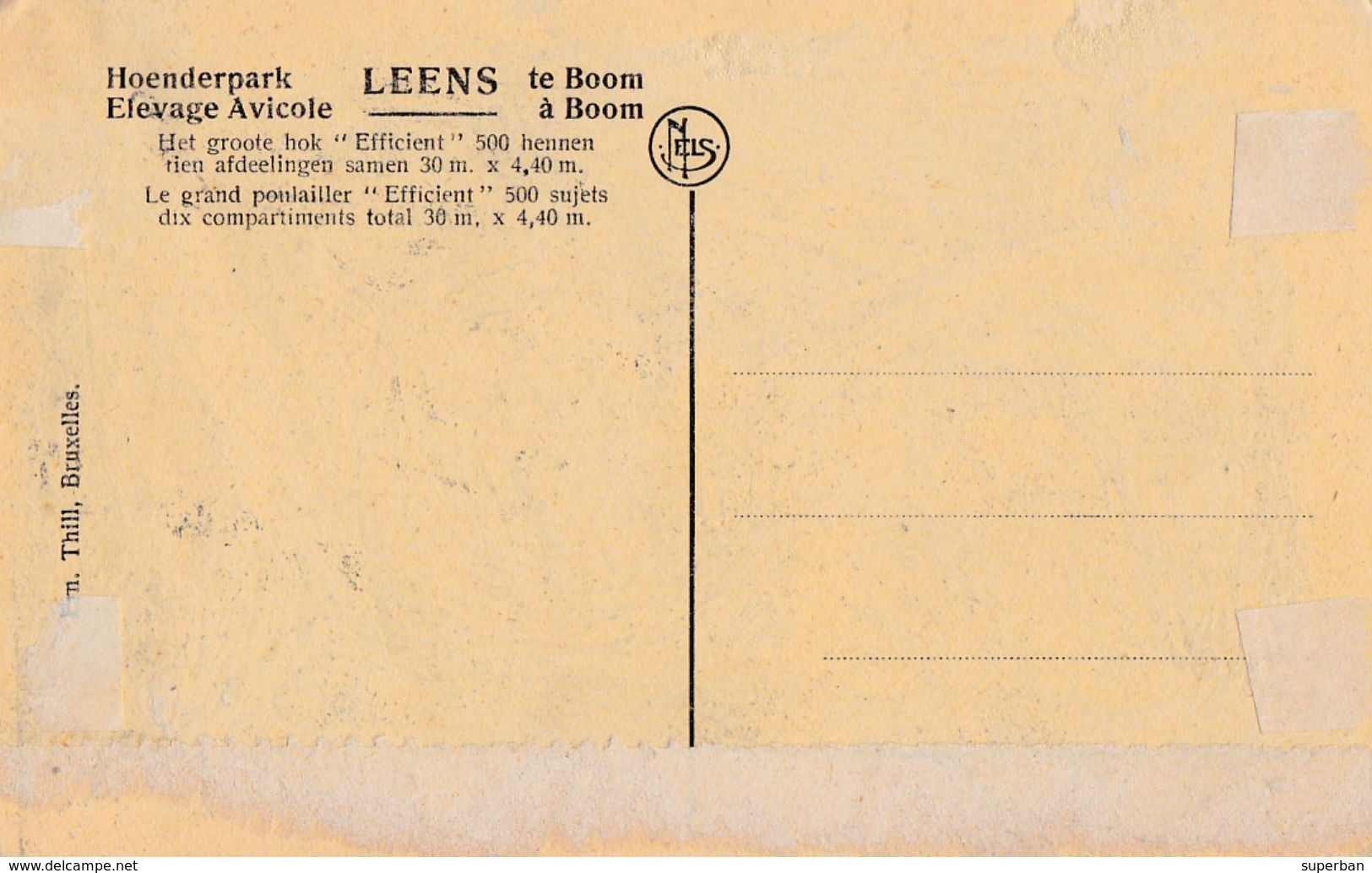 BOOM : HOENDERPARK LEENS : HOENDERHOK 'EFFICIENT'/ ELEVAGE AVICOLE LEENS : POULAILLER 'EFFICIENT' ~ 1910 - '15 (ab318) - Boom