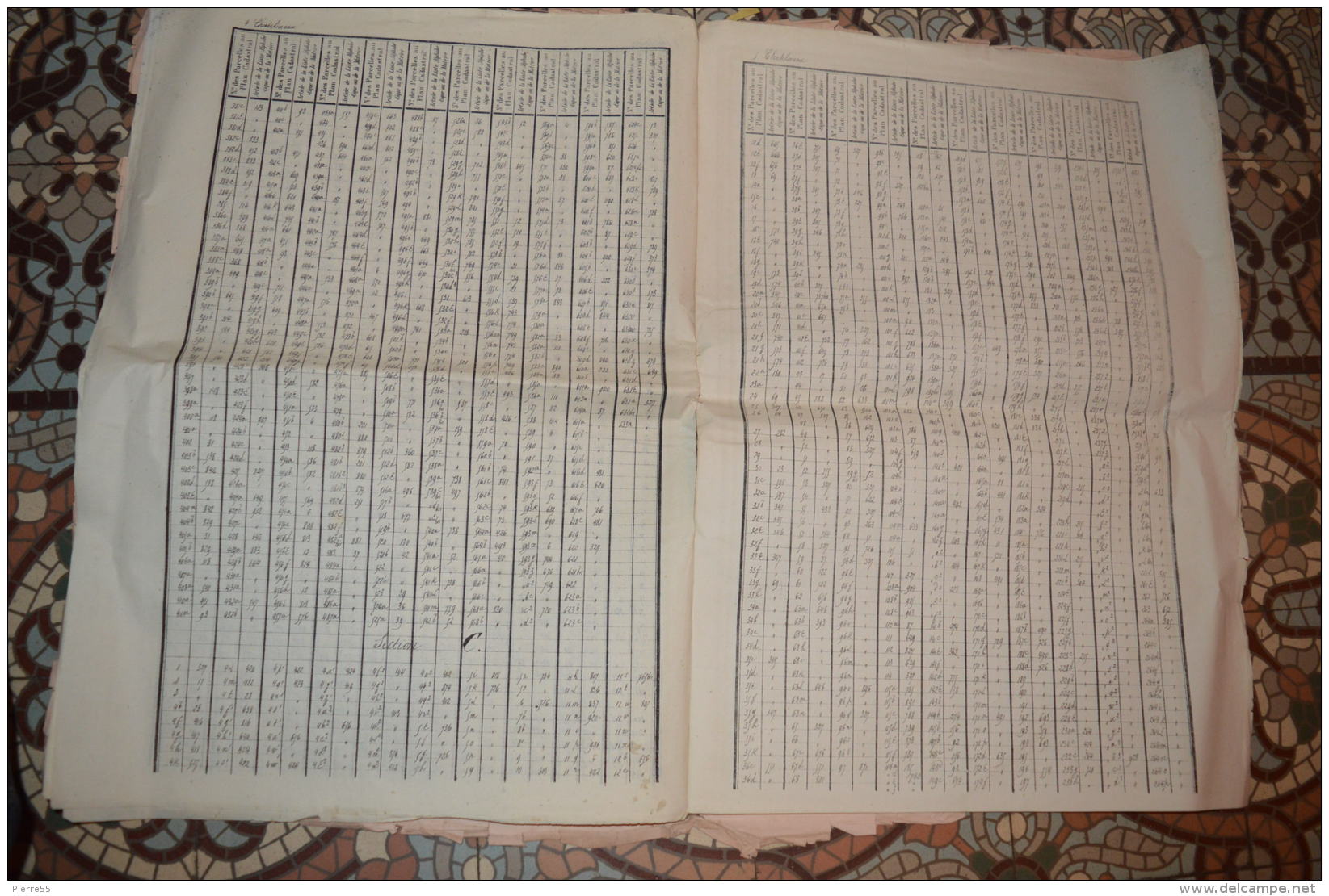 MATRICE CADASTRALE DE PLAN POPP  - Commune De CHATELINEAU - Altri & Non Classificati