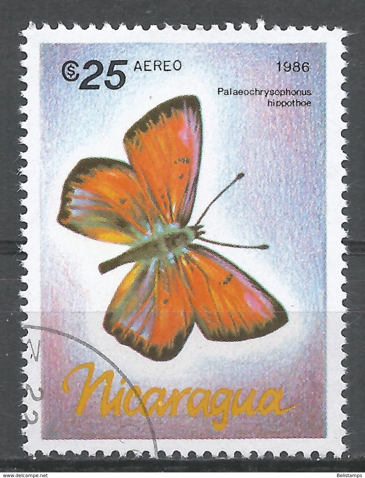 Nicaragua 1986. Scott #1572 (U) Butterfly, Palaeochrysoponus Hippothoe, Butterfly - Nicaragua