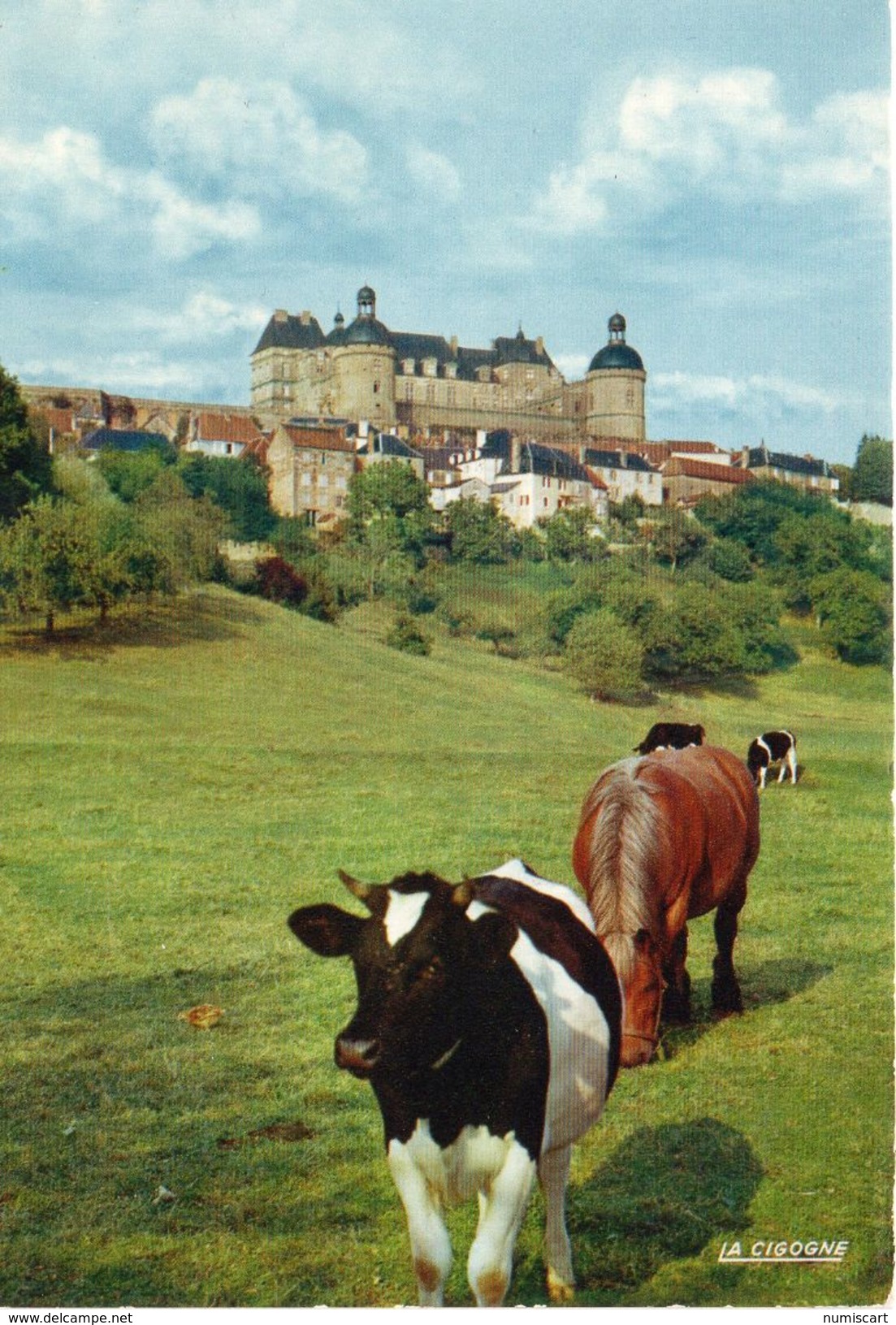 Vaches Animaux Vache Boeufs Veau Paturages Ferme Paysan Hautefort Le Château - Vaches