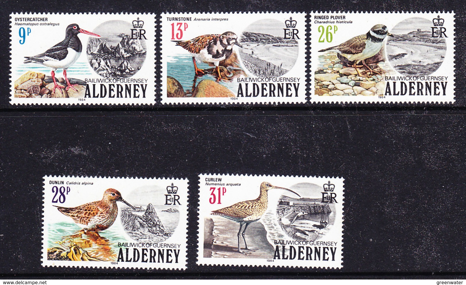 Alderney 1984 Birds 5v ** Mnh (37259A) - Alderney
