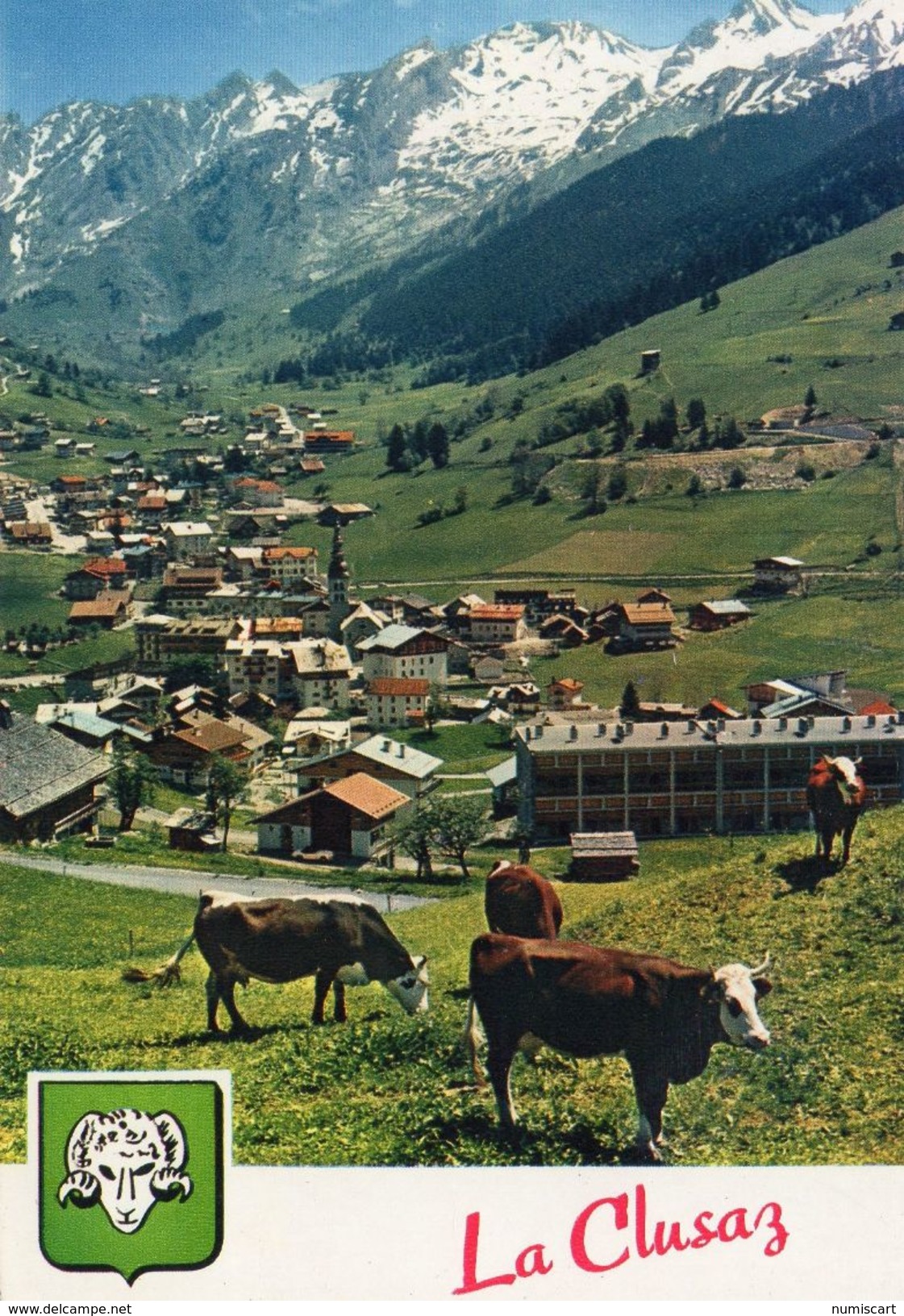 Vaches Animaux Vache Boeufs Veau Pâturages Ferme Paysan La Clusaz La Chaîne Des Aravis - Vaches