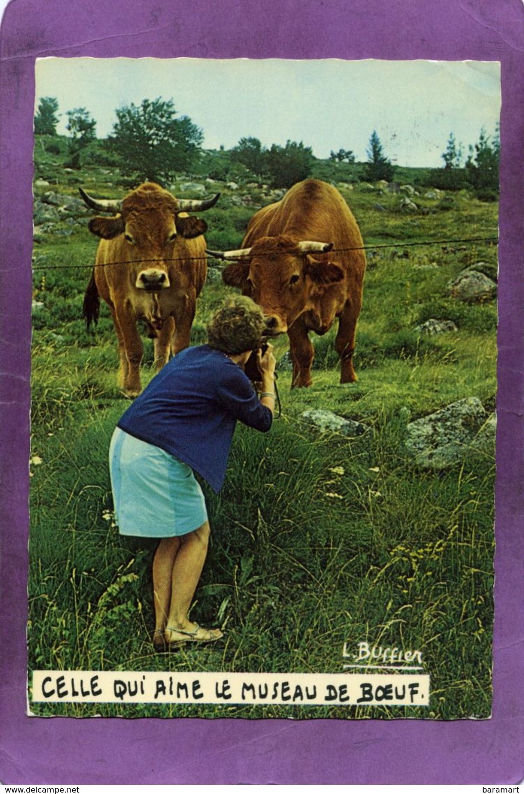 HUMOUR- Boeufs Photo Et Legende De Louis BUFFIER : Celle Qui Aime Le Museau De Boeuf - Altri & Non Classificati